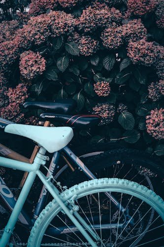 best bikes 2026