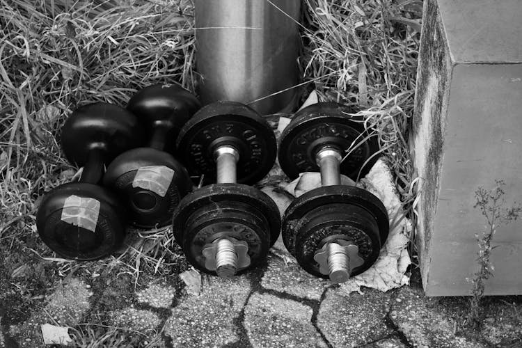 best dumbbells 2026