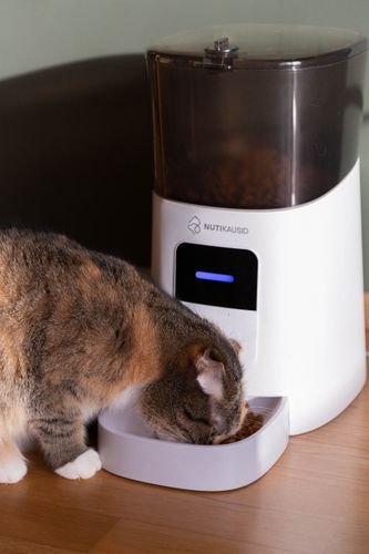 best automatic pet feeders 2026
