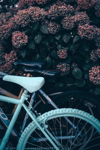 best bikes 2026