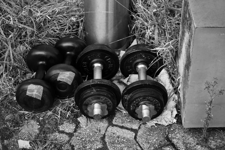 best dumbbells 2026