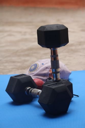 best dumbbells for home gym