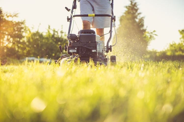 best lawn mowers 2026