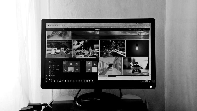 best monitors 2026