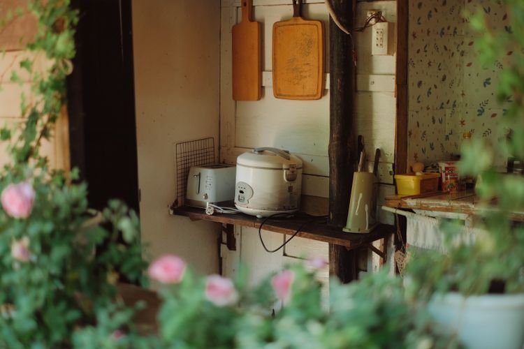 best rice cookers 2026